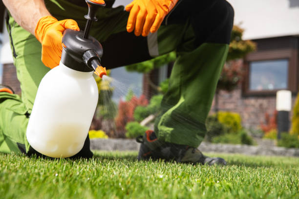 Best Local Pest Control Services  in Berlin, MD