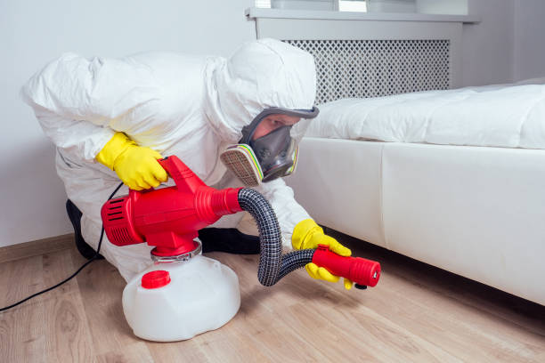 Professional Pest Control in Berlin, MD
