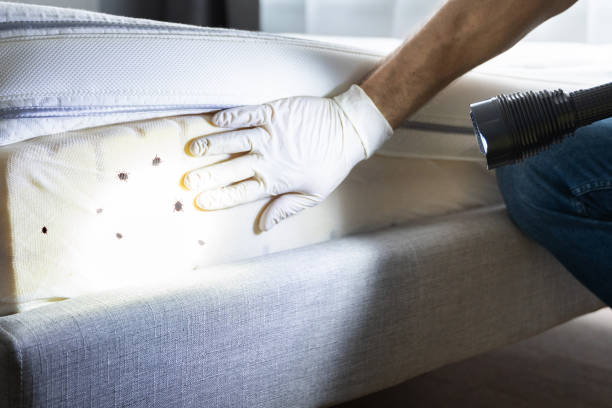 Best Bed Bug Extermination  in Berlin, MD