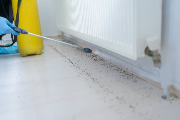 Best Commercial Pest Control Services  in Berlin, MD
